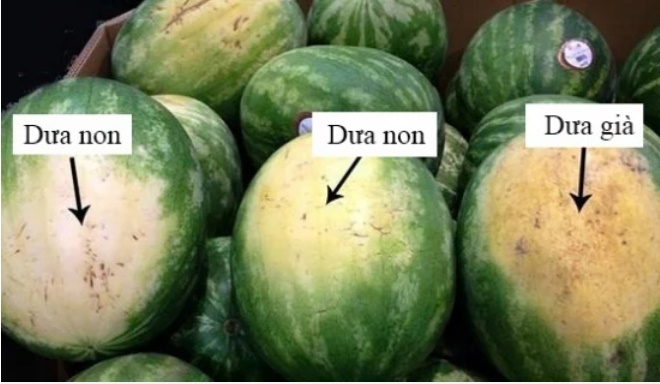 Người bán hàng không bao giờ tiết lộ: Nhìn 5 giây biết dưa hấu ngon hay bị tiêm nitrat hại sức khỏe-1