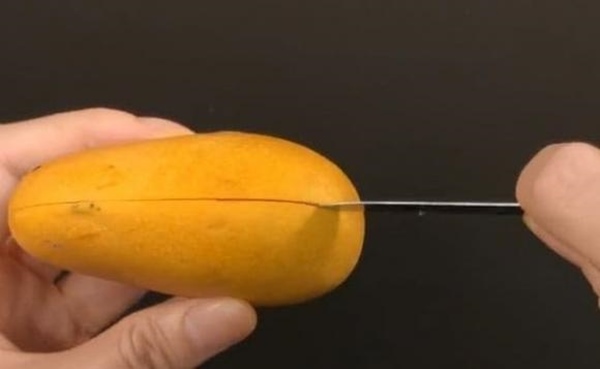 Hôm nay tôi mới biết dùng một que tăm đâm vào trái xoài sẽ không bị bẩn hoặc chảy nước khi gọt vỏ-2