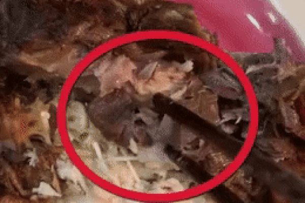 Nhận diện hệ thống của ông chủ bán cá kho có giòi-4