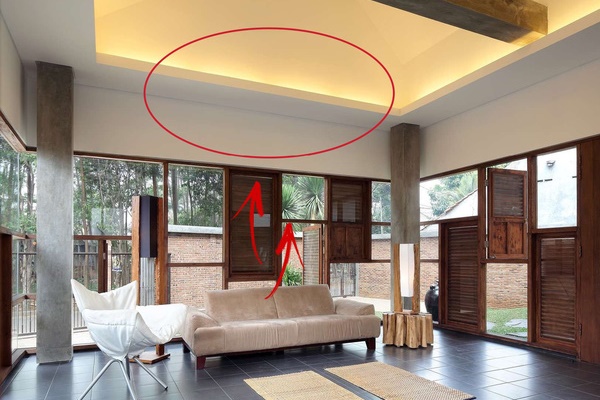 6 loại cây gọi tài lộc đến nhà, cứ trồng trước cửa kiểu gì cũng giàu sang, của nả ùn ùn kéo đến-3