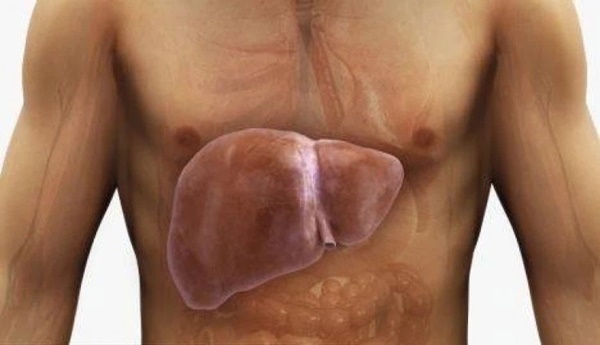 Thứ phá hủy gan còn nguy hiểm hơn rượu, WHO xếp hạng là tác nhân gây ung thư nhóm 1 nhưng nhiều gia đình không biết vẫn dùng-4