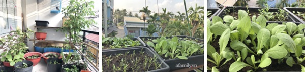 Từ hai bàn tay trắng, tiền cưới còn phải đi vay, cặp vợ chồng có 3 con mua được 2 căn nhà, 1 mảnh đất ở Sài Gòn chỉ sau 8 năm kết hôn-6