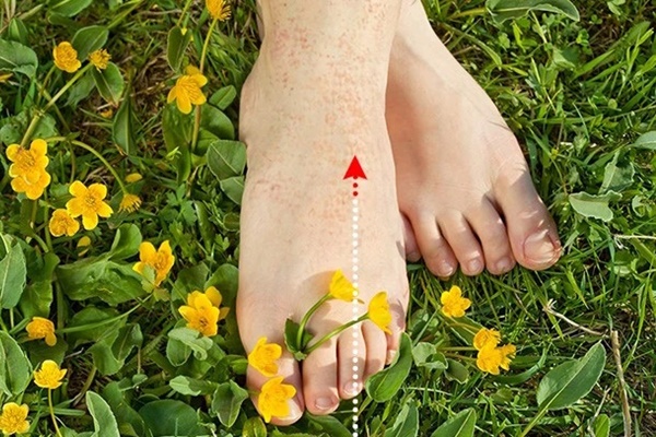 Mỗi năm có hơn nửa triệu người chết vì ăn phải chất này, WHO đưa vào danh sách đen nhưng nhiều người vẫn ăn nhiều các món ăn chứa chúng mà không quan tâm đến 5 mối nguy hại-4