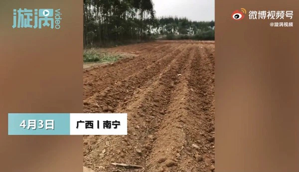 Tết Thanh Minh về quê tảo mộ, người đàn ông tá hỏa phát hiện mộ tổ tiên biến mất, sự thật được phơi bày khiến ai cũng tức giận-1