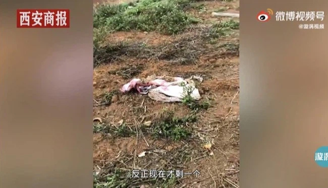 Tết Thanh Minh về quê tảo mộ, người đàn ông tá hỏa phát hiện mộ tổ tiên biến mất, sự thật được phơi bày khiến ai cũng tức giận-2