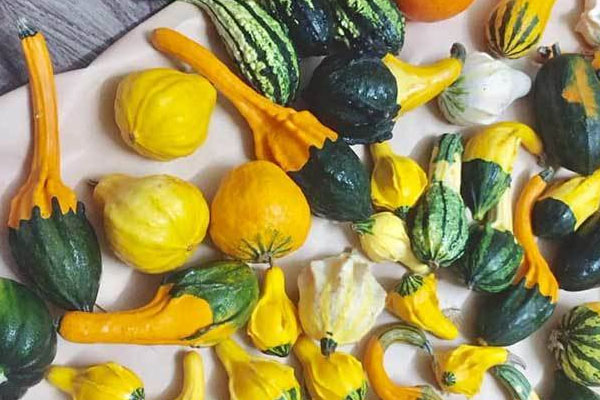 5 mặt hàng ở Việt Nam được ví như vàng đen, món thứ hai còn xuất khẩu số lượng lớn ra nước ngoài-6