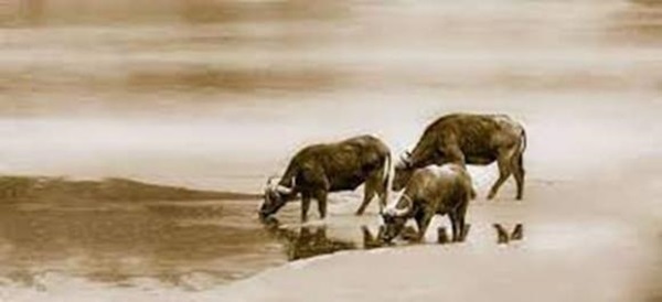 Tử vi 35 ngày tới: 3 con giáp sẽ được Trời thương, rước lộc vào nhà, không phải lo nghĩ về tiền bạc-2