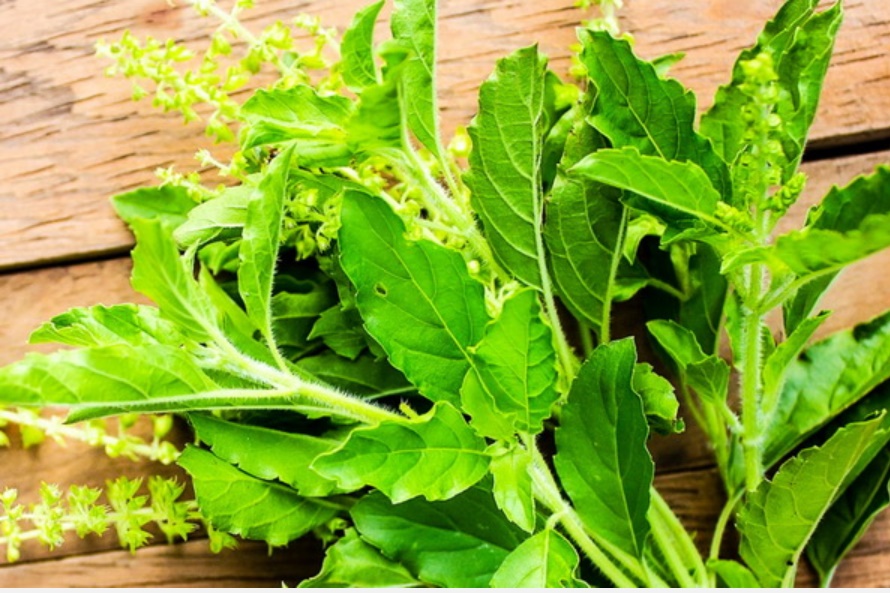 Muốn xua đuổi ruồi trong nhà phải làm thế nào? Đâu mới là phương pháp thực sự tốt, nguyên liệu lại dễ kiếm này khiến ruồi cao chạy xa bay?-5