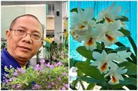 Thăm khu vườn hàng chục loại hoa và rau sạch của nghệ sĩ gạo cội Trung Dân