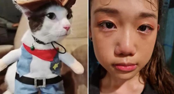 Phát hiện rắn hoang bò vào phòng, chủ nhà khóc ngất khi thấy phần bụng rắn phình to và thảm cảnh thương tâm tột độ-2