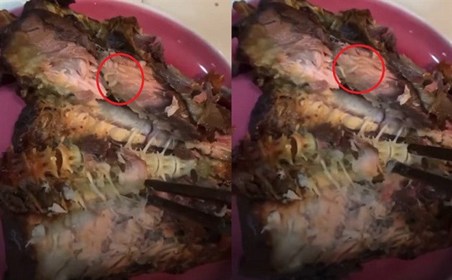 Bán cá kho có giòi, cửa hàng thực phẩm sạch CleverFood bị phạt 17 triệu đồng-1