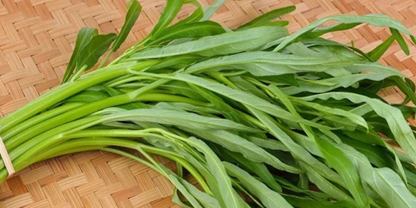 Lời đồn về rau muống hút thuốc trừ sâu và nhiễm kim loại nặng: Ăn lâu dài có gây bệnh không?-3