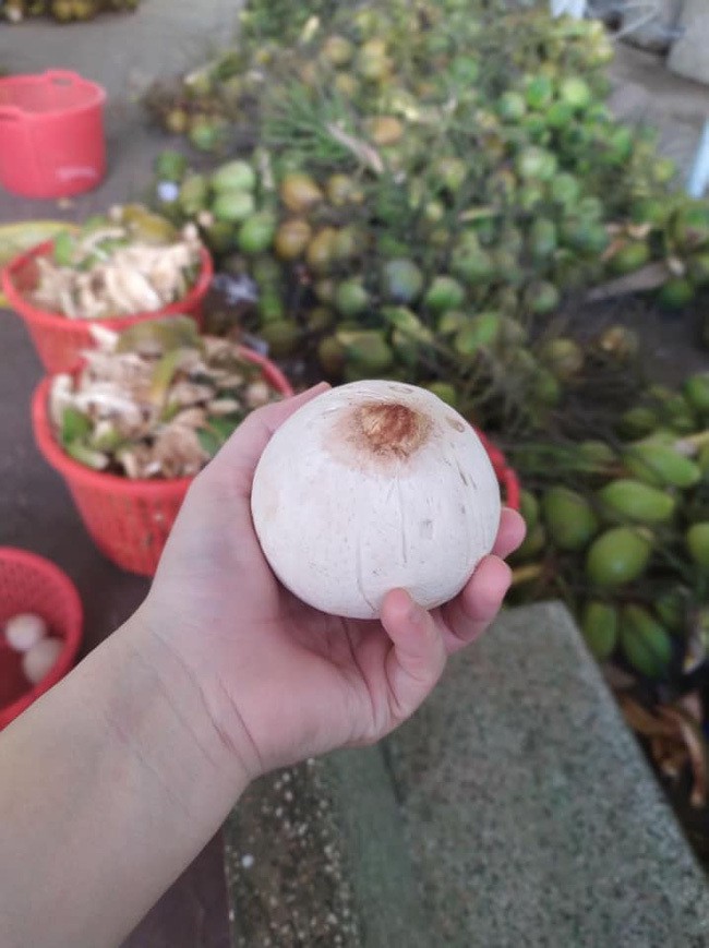 5 loại quả tí hon đi máy bay về Việt Nam... giá chát vẫn bán tới tấp-7