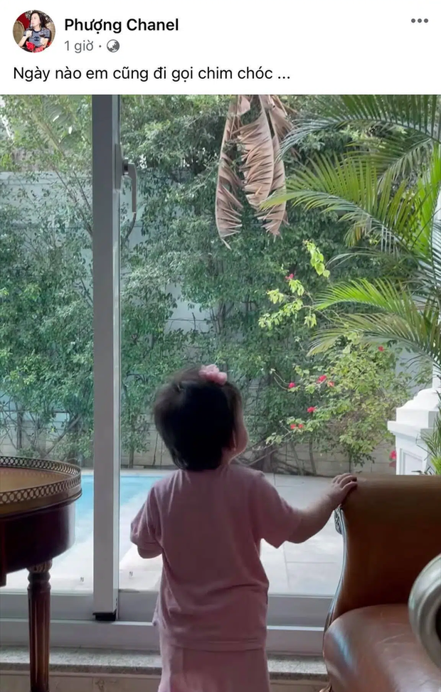 Nửa đêm Phượng Chanel bất ngờ đăng hình ảnh hiếm hoi của con gái lúc mới vài tháng tuổi?-2