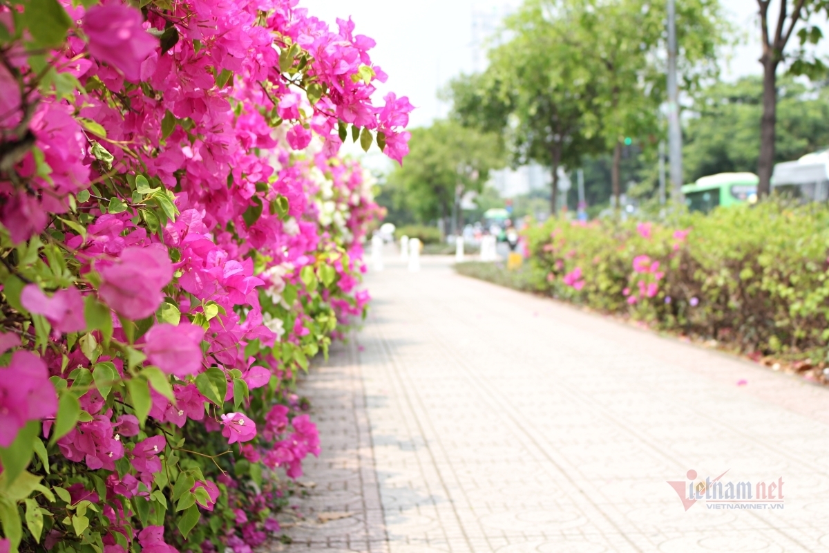 Rời tòa án, chồng cũ mời tôi về làm giúp việc-1