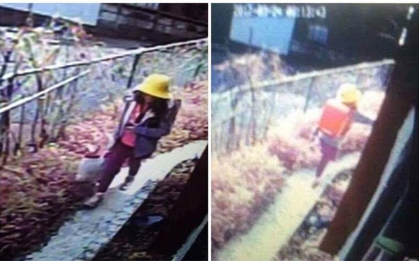 Hành trình 4 năm đầy nước mắt bố mẹ Nhật Linh đòi công lý cho con-1