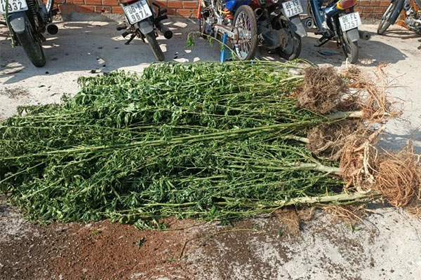 Container rụng mất cabin sau khi tông vào đuôi xe tải, hiện trường vụ tai nạn khiến người chứng kiến rùng mình-4