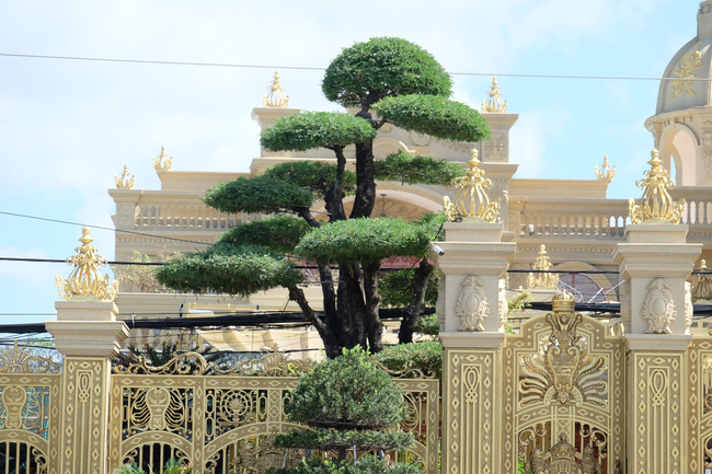 Bắt nữ đại gia Vũng Tàu - vợ diễn viên nổi tiếng cho ông chủ biệt thự dát vàng Thiện Soi vay tiền-7