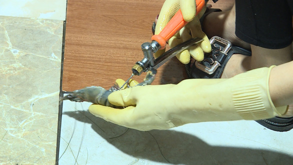 Hà Nội: Bắt quả tang cơ sở chuyên bơm tạp chất vào tôm để cung cấp cho các nhà hàng, mỗi tháng bán ra hàng tấn tôm độc hại-1