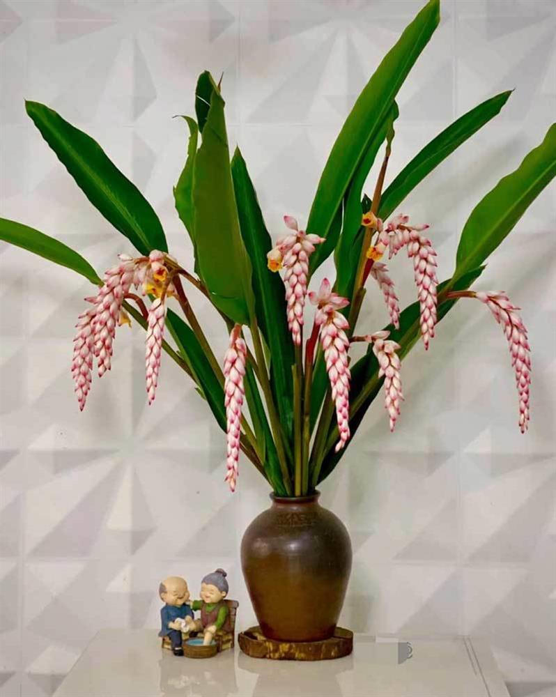 Hoa dại bờ bụi siêu đắt đỏ, mối buôn bán 2.000 cành/ngày-4