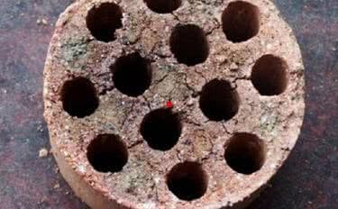 Đây là thứ không nên vứt đi, hãy đem lót dưới chậu trồng cây, hoa sẽ không bị thối rễ, vàng lá, cứ phát triển ầm ầm-2