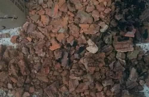 Đây là thứ không nên vứt đi, hãy đem lót dưới chậu trồng cây, hoa sẽ không bị thối rễ, vàng lá, cứ phát triển ầm ầm-3