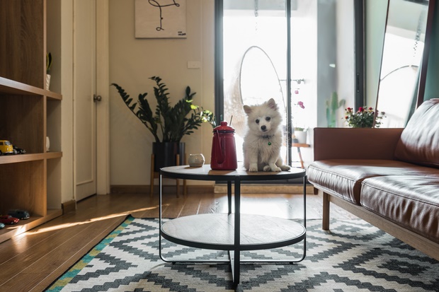 Chi 250 triệu sửa căn hộ để về chung 1 nhà, cặp vợ chồng ghi điểm tuyệt đối với style trẻ trung, hiện đại-5