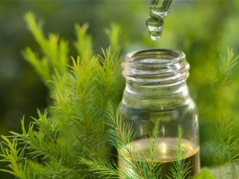 Chuyên gia Dược học: Tinh dầu không hoàn toàn vô hại như bạn nghĩ-3