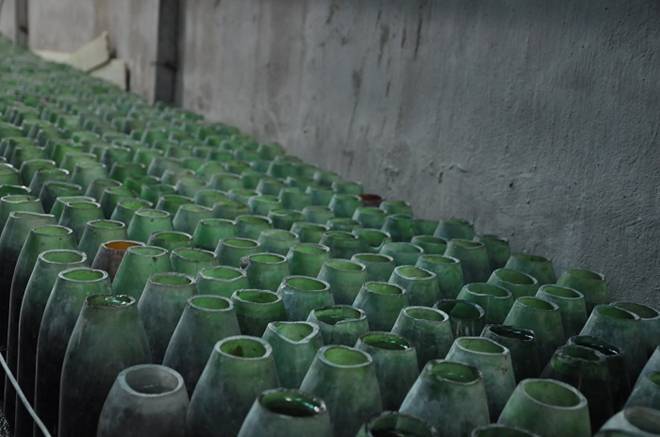 Nuôi loại cá tí hon trong chai phế liệu, lão nông Hà Nội thu về hàng trăm triệu đồng-2