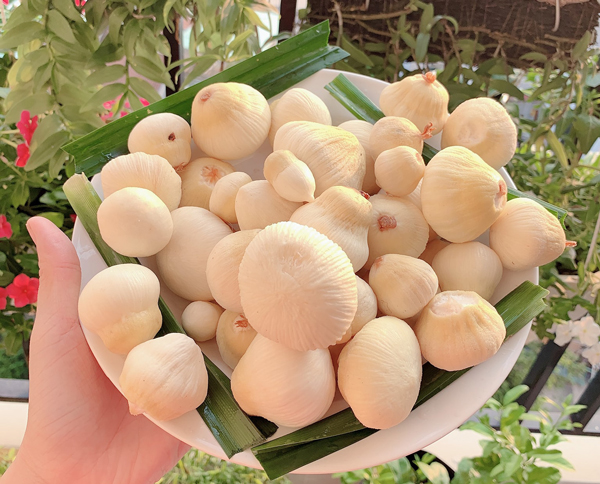 Dù thứ này có giá cao gấp 30 lần quả, chủ vựa dừa lại không mong muốn có-2