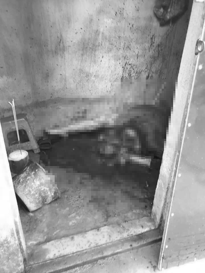 Clip vây bắt và hiện trường thương tâm vụ con trai cầm dao sát hại dã man bố đẻ ở Sơn La-2