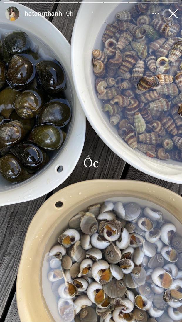 Linh Rin dự tiệc cuối tuần ở biệt thự gia đình Hà Tăng, suất con dâu tỷ phú chắc tay quá luôn-3