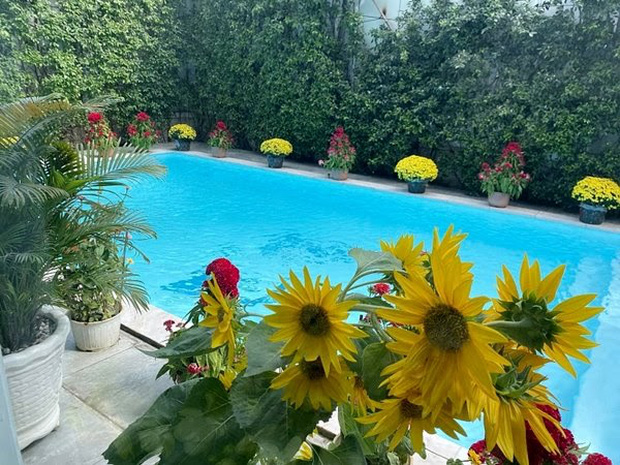 Khối tài sản của Phượng Chanel - Quách Ngọc Ngoan: Nàng có biệt thự tiền tỷ, chàng có trang trại 10.000m2-7