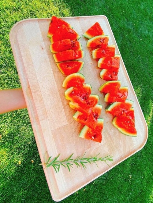 Khám phá khu vườn hàng chục loại trái cây của hoa hậu Phạm Hương ở Mỹ-15