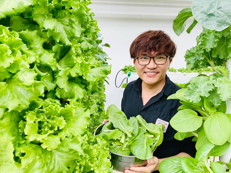MC Đại Nghĩa chia sẻ bí quyết trồng rau thủy canh trên sân thượng đúng cách-3
