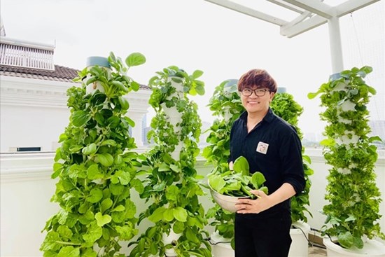 MC Đại Nghĩa chia sẻ bí quyết trồng rau thủy canh trên sân thượng đúng cách