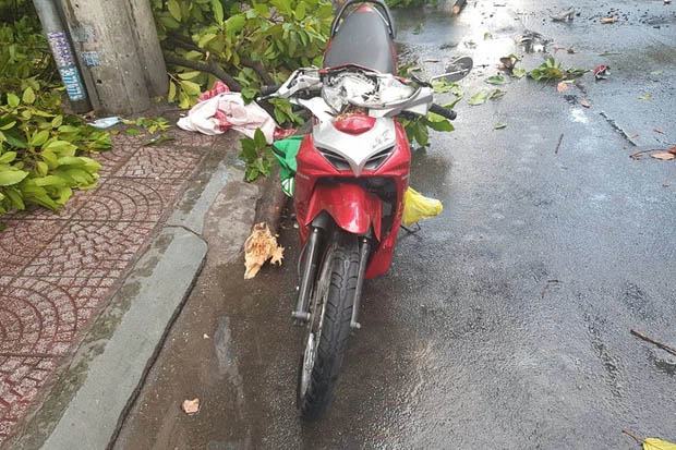 TP.HCM: Cây xanh ngã đổ ra đường, đè trúng tài xế Gojek đang chở khách nữ lưu thông-2