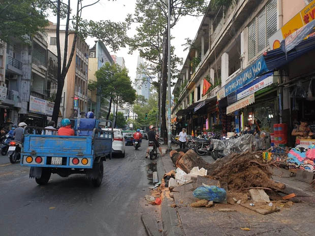 TP.HCM: Cây xanh ngã đổ ra đường, đè trúng tài xế Gojek đang chở khách nữ lưu thông-3