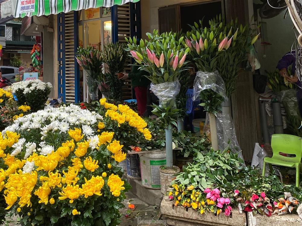 Đi chợ ngày mùng 1, choáng với giá mận đầu mùa đắt đỏ-1