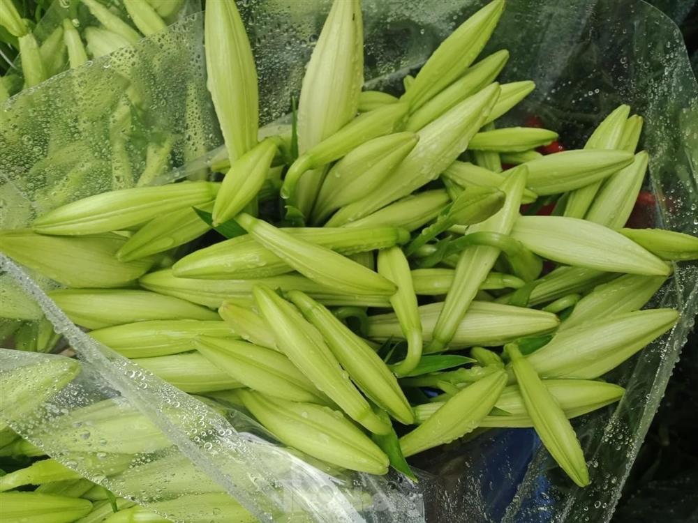 Đi chợ ngày mùng 1, choáng với giá mận đầu mùa đắt đỏ-2