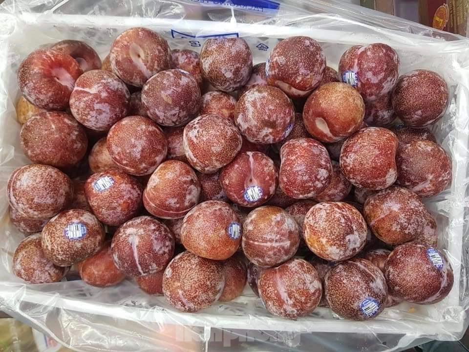Đi chợ ngày mùng 1, choáng với giá mận đầu mùa đắt đỏ-4