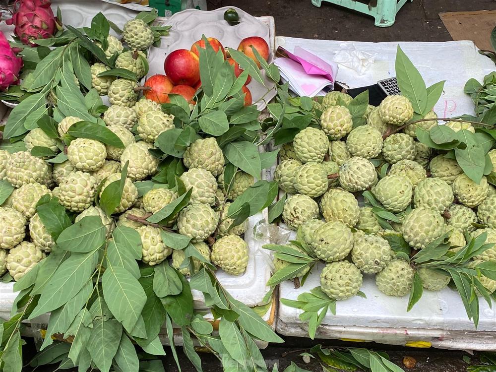 Đi chợ ngày mùng 1, choáng với giá mận đầu mùa đắt đỏ-5