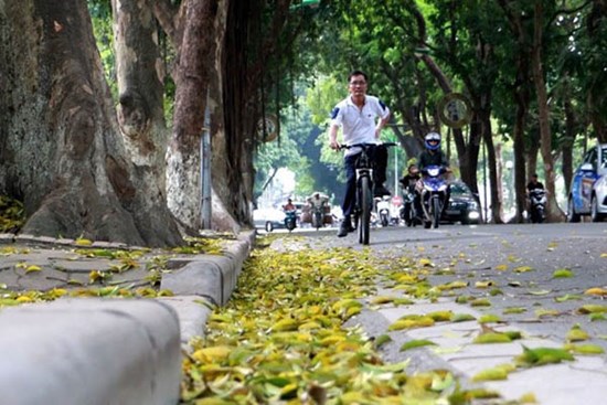 Dự báo thời tiết 13/4: Bắc bộ ngày trời nắng, đêm có mưa rào