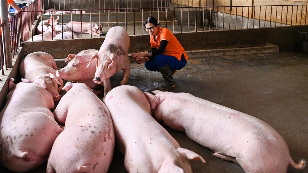 Nữ thiếu tá về hưu nuôi giun quế thu gần 6 tỷ mỗi năm-11