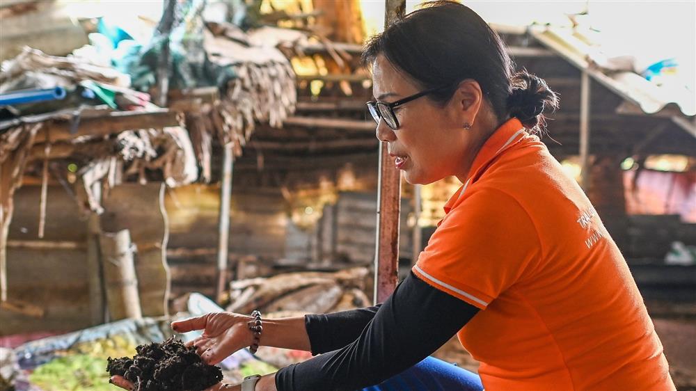 Nữ thiếu tá về hưu nuôi giun quế thu gần 6 tỷ mỗi năm-2