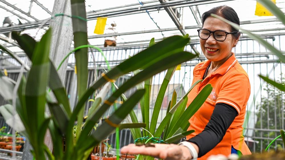 Nữ thiếu tá về hưu nuôi giun quế thu gần 6 tỷ mỗi năm-4