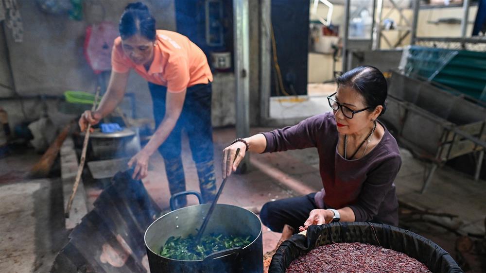 Nữ thiếu tá về hưu nuôi giun quế thu gần 6 tỷ mỗi năm-6