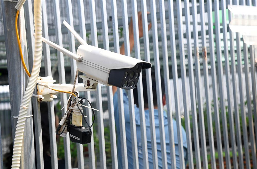 Cơn lốc lan đột biến làm vỡ nhiều giấc mộng đổi đời siêu tốc-8