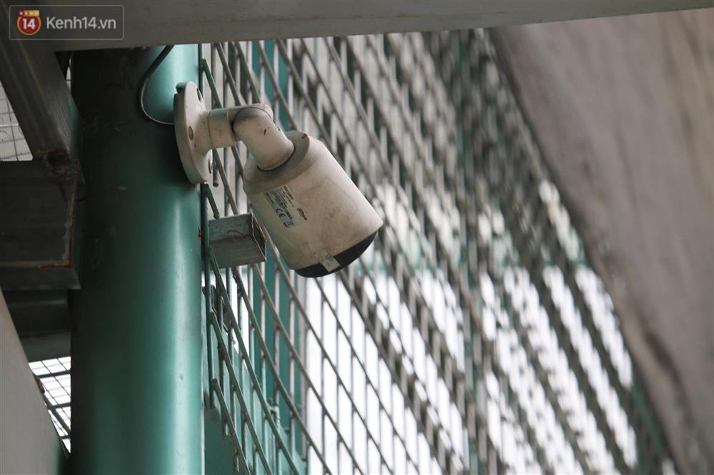 Người nhà lên tiếng sau khi chủ vườn lan đột biến ở Hà Nội bị tố ôm hàng trăm tỷ bỏ trốn: Anh ấy cũng là nạn nhân-3