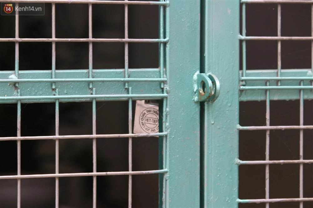 Người nhà lên tiếng sau khi chủ vườn lan đột biến ở Hà Nội bị tố ôm hàng trăm tỷ bỏ trốn: Anh ấy cũng là nạn nhân-4